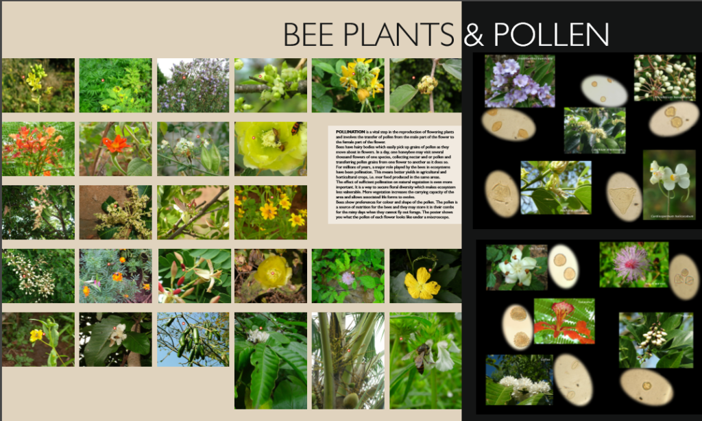 bee plants and pollen