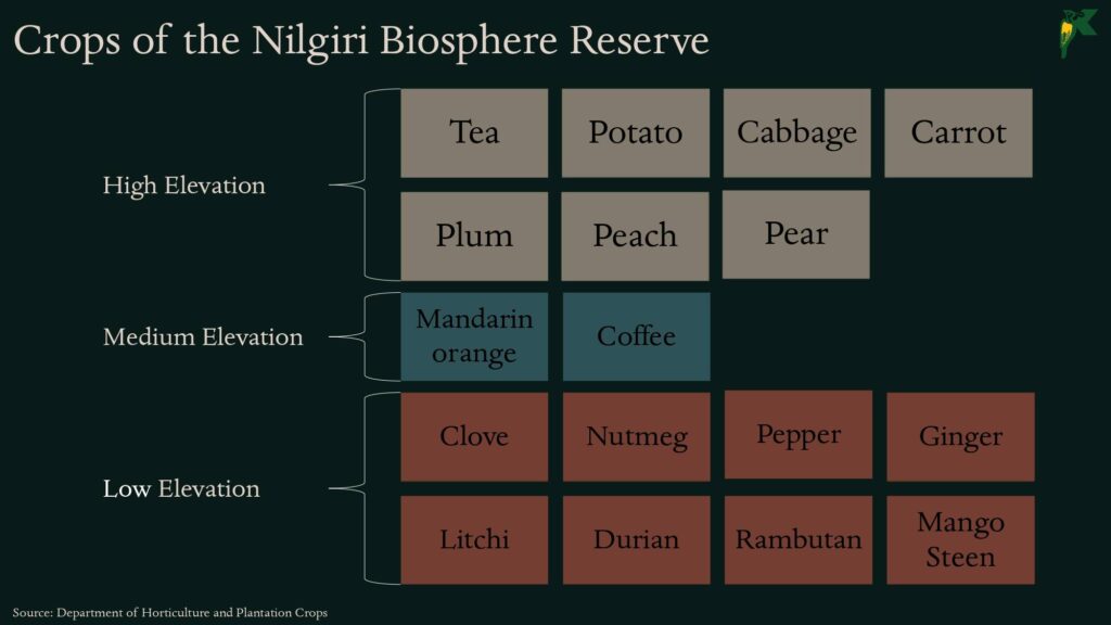 Pollination NBR Presentation
