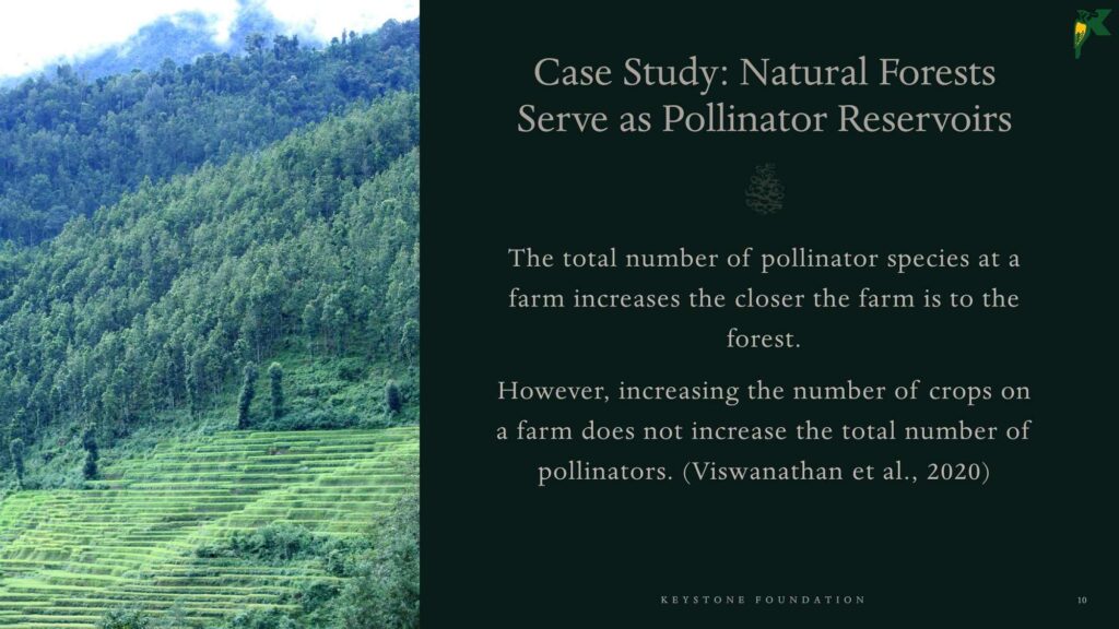 Pollination NBR Presentation