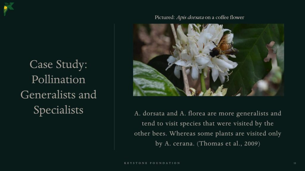 Pollination NBR Presentation