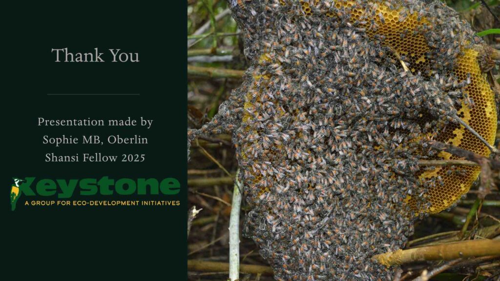 Pollination NBR Presentation